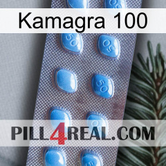 Kamagra 100 viagra3